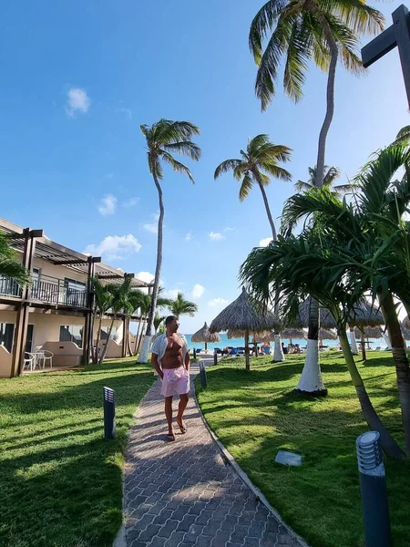 Spiaggia di palme Aruba Caraibi, lunga spiaggia di sabbia bianca con palme ad Aruba — Foto Stock