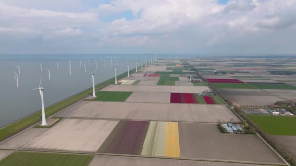 Offshore väderkvarn park med moln och en blå himmel, väderkvarn park i havet drönare antenn utsikt med vindkraftverk Flevoland Nederländerna Ijsselmeer — Stockvideo