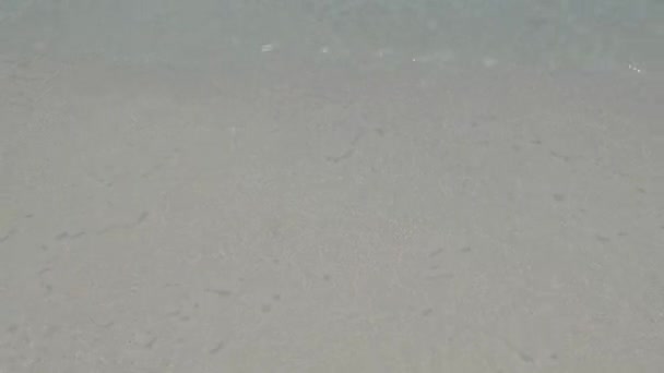 Luftaufnahme vom Eagle Strand auf Aruba in der Karibik, Vogelperspektive am Strand mit Sonnenschirm am Aruba Eagle Strand — Stockvideo