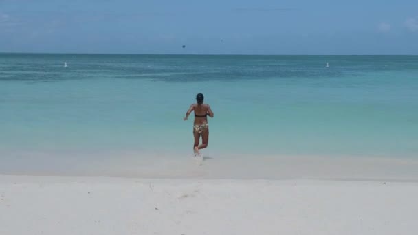 Palm beach Aruba, Incredibile spiaggia tropicale con palma che entra nell'oceano contro l'oceano azzurro, sabbia dorata e cielo blu — Video Stock