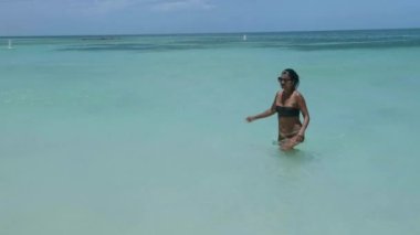 Palm Beach Aruba, muhteşem tropikal plaj, okyanusa dalan palmiye ağacı, altın kum ve mavi gökyüzü.