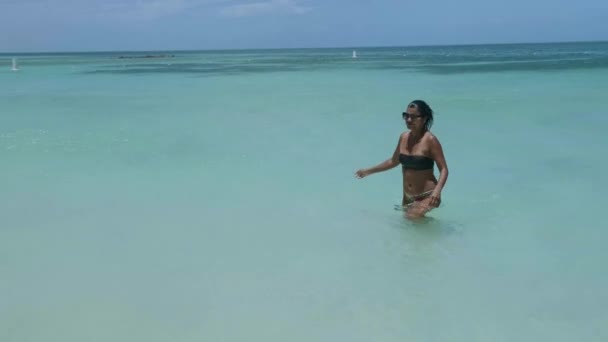 Palm Beach Aruba, muhteşem tropikal plaj, okyanusa dalan palmiye ağacı, altın kum ve mavi gökyüzü. — Stok video