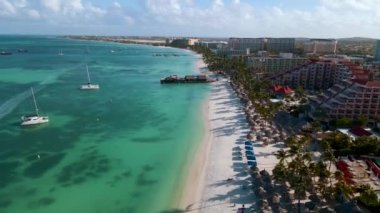 Palm Beach Aruba, muhteşem tropikal plaj, okyanusa dalan palmiye ağacı, altın kum ve mavi gökyüzü.