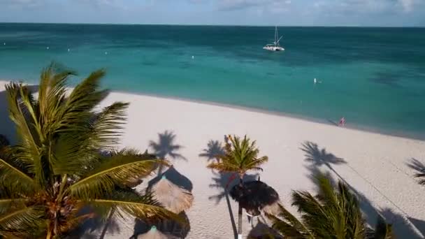 Palmenstrand Aruba, Traumhafter tropischer Strand mit Palme, die gegen den Ozean tritt, goldener Sand und blauer Himmel — Stockvideo