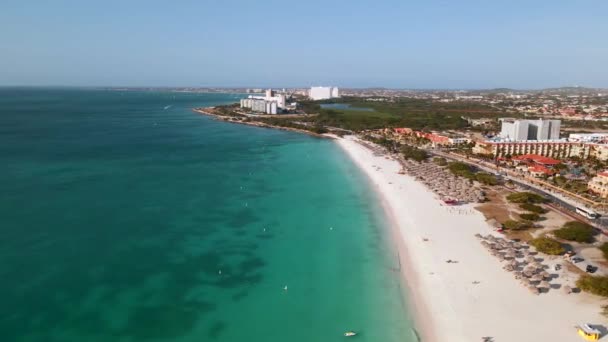 Vue aérienne depuis la plage d'Eagle sur Aruba dans les Caraïbes, vue imprenable sur la plage avec parasol à la plage d'Aruba Eagle — Video