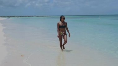 Palm Beach Aruba, muhteşem tropikal plaj, okyanusa dalan palmiye ağacı, altın kum ve mavi gökyüzü.