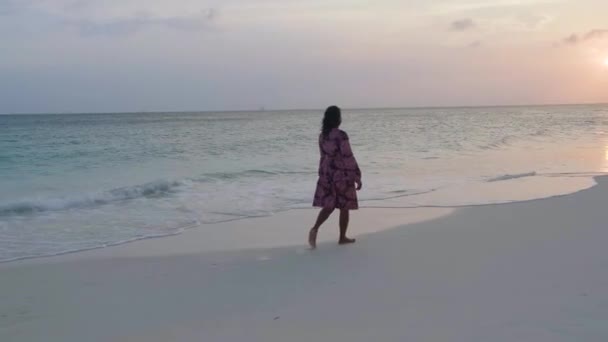 Пляж Пальм Аруба, Удивительный пляж с пальмовым деревом, впадающим в океан на фоне океана, золотого песка и голубого неба — стоковое видео