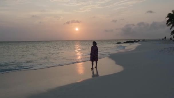 Palm beach Aruba, Increíble playa tropical con palmeras que ingresan al océano contra el océano azul, arena dorada y cielo azul — Vídeo de stock