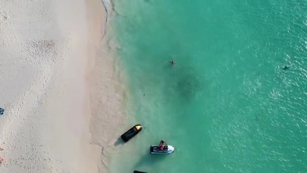 Palmová pláž Aruba, Úžasná tropická pláž s palmami vstupujícími do oceánu proti azurovému oceánu, zlatému písku a modré obloze — Stock video