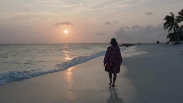 팜비치 아루바, 아즈 르 바다와 황금 모래와 푸른 하늘을 배경으로 바다로 들어가는 야자수가 있는 놀라운 열대 해변 — 비디오