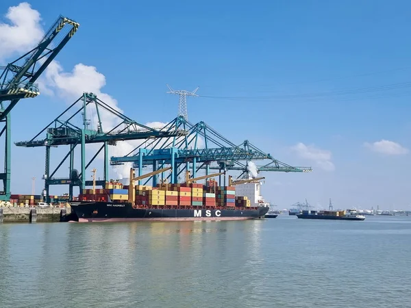 Antwerpen, België Panoramisch uitzicht op havenkranen en containerschepen in de grootste haven van Antwerpen — Stockfoto