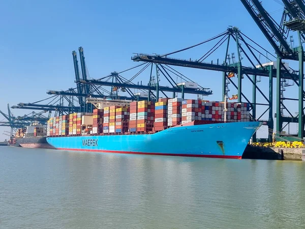 Antwerpen, België Panoramisch uitzicht op havenkranen en containerschepen in de grootste haven van Antwerpen — Stockfoto