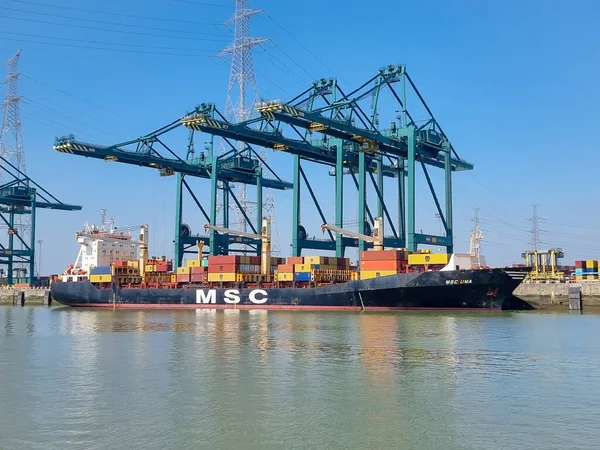 Antwerpen, België Panoramisch uitzicht op havenkranen en containerschepen in de grootste haven van Antwerpen — Stockfoto