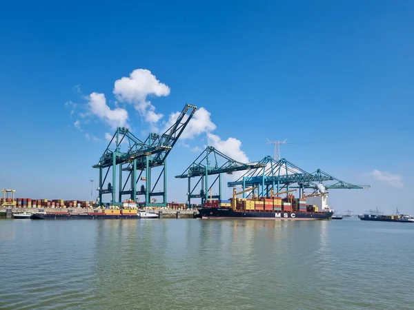 Antwerpen, België Panoramisch uitzicht op havenkranen en containerschepen in de grootste haven van Antwerpen — Stockfoto
