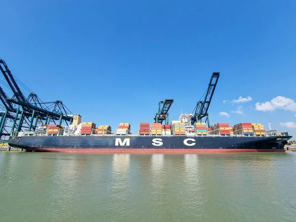 Antwerpen, België Panoramisch uitzicht op havenkranen en containerschepen in de grootste haven van Antwerpen — Stockfoto