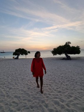 Aruba 'daki Kartal Sahili kıyısında Divi Dalış Ağaçları