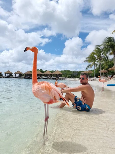 Playa de Aruba con flamencos rosados en la playa, flamenco en la playa en Aruba Island Caribe — Foto de Stock