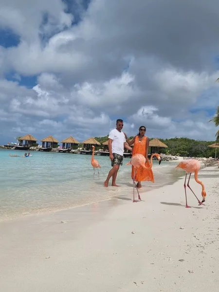 Playa de Aruba con flamencos rosados en la playa, flamenco en la playa en Aruba Island Caribe —  Fotos de Stock