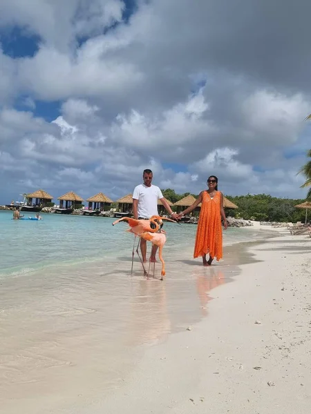 Playa de Aruba con flamencos rosados en la playa, flamenco en la playa en Aruba Island Caribe —  Fotos de Stock