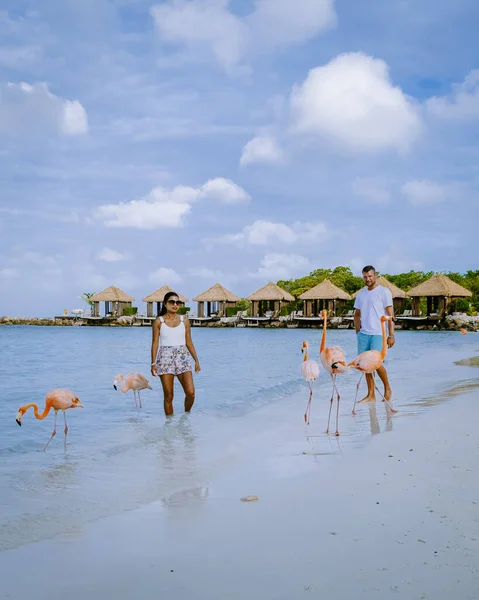 Plaża Aruba z różowymi flamingami na plaży, flamingi na plaży na wyspie Aruba Karaiby — Zdjęcie stockowe