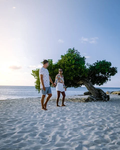 Divi Dive Trees on the shoreline of Eagle Beach in Aruba — Stock Photo, Image