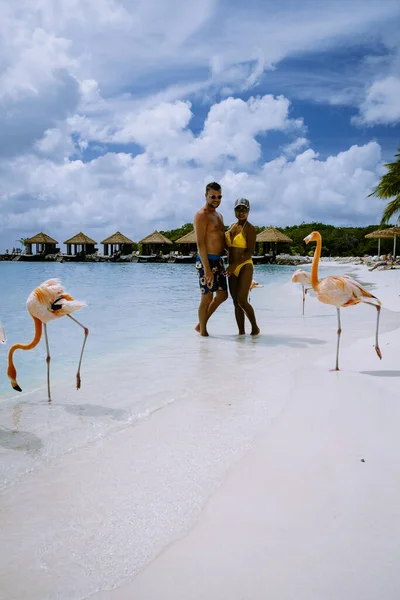 Пляж Арубы с розовыми фламинго на пляже, фламинго на пляже острова Аруба в Карибском море — стоковое фото