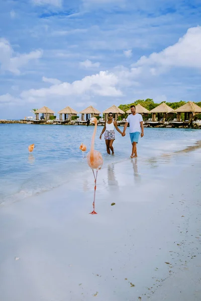 Praia de Aruba com flamingos cor-de-rosa na praia, flamingo na praia na Ilha de Aruba Caribe — Fotografia de Stock