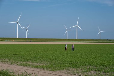 Hava manzaralı rüzgar türbini, rüzgar parkının batı kanadındaki drone manzarası IJsselmeer gölündeki yel değirmeni çiftliği Hollanda 'nın en büyüğü, sürdürülebilir kalkınma, yenilenebilir enerji