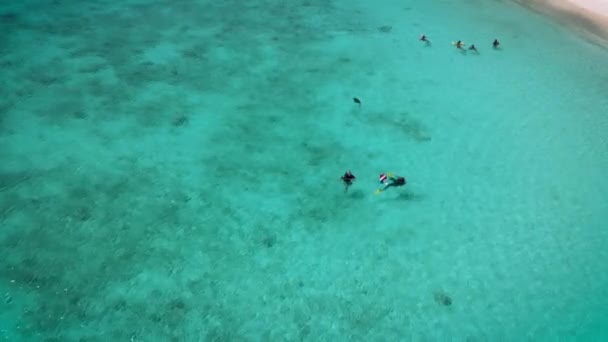 库拉索岛上的Cas Abou海滩，库拉索岛上的Playa Cas Abou，蓝色海洋的加勒比热带白色海滩 — 图库视频影像