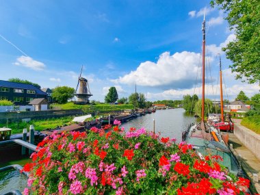 Hollanda Kanalı 'nda evler, tekneler ve ağaçlar. Önplanda çiçekler ve arkasında bulutlar olan mavi bir gökyüzü. Gorinchem şehri, Hollanda..