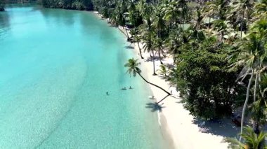 Stunning aerial view of Koh Kood in Thailand showcasing soft sandy beaches, vibrant turquoise waters, and lush palm trees. Visitors enjoy relaxation and beauty in this tropical paradise.