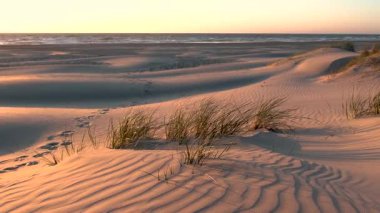 Güneş engin kum tepelerinin üzerinde batarken Danimarka 'nın sakin kıyı şeridinin tadını çıkarın. Yumuşak otlar hafif esintide sallanırken dalgalar uzaklarda dalgalanırken.