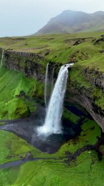Seljalandsfoss şelalesi, İzlanda 'da yemyeşil tepeler ve dramatik manzaralarla çevrili kayalık uçurumların üzerinden dramatik bir şekilde akar. Doğanın gücü ve güzelliği bu nefes kesici manzarada birleşir..