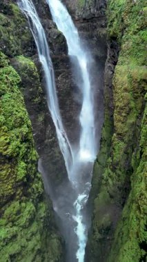 İzlanda 'nın en yüksek şelalelerinden biri olan Glymur Şelalesi yosun kaplı uçurumlar arasında dramatik bir şekilde batar..