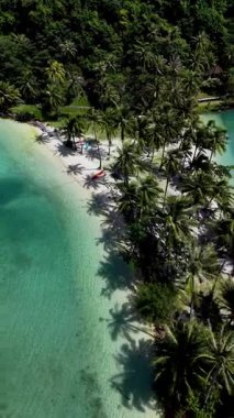 Yukarıdan çekilen bu çarpıcı manzara Tayland 'ın Koh Chang kentindeki Ko Ngam Sahili' nin berrak sularını ve gür palmiye ağaçlarını gözler önüne seriyor. Huzurlu ortam rahatlamaya ve maceraya davetiye çıkarır..