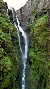Yosun kaplı kayalıklardan aşağı akarken Glymur Şelalesi 'nin nefes kesici güzelliğini hissedin..