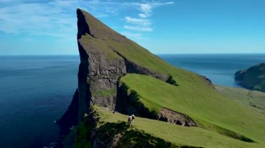 Yürüyüşçüler, bereketli yeşillik ve dramatik uçurumlarla çevrili Faroe Adaları 'ndaki Mylingur engebeli arazisinden geçiyorlar. Parlak mavi gökyüzü nefes kesen kıyı manzarasını güçlendirir..