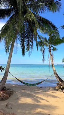 Tayland 'daki Koh Kood Adası' ndan sakin bir manzara palmiye ağaçları arasına yerleştirilmiş renkli bir hamak sergiliyor. Açık mavi okyanus, dinginlik ve sükuneti davet eden canlı bir gökyüzünün altında..