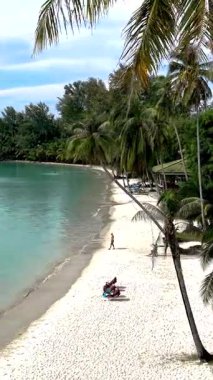 Tayland 'daki Koh Kood Adası' nın çarpıcı beyaz kumlu kıyılarını keşfedin. Rüzgarda sallanan gür palmiye ağaçları, palmiye ağacının altında sallanan bir çift gibi yumuşak dalgalar sahile vurur. 
