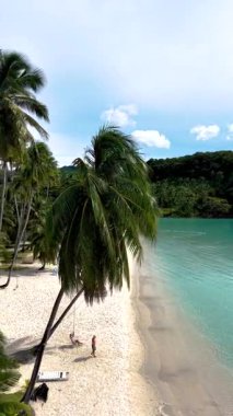 Koh Kood Adası sakin plajı yumuşak, beyaz kumlu ve kristal berrak sularıyla. Palmiye ağaçları parlak mavi bir gökyüzünün altında usulca sallanıyor. Sahildeki palmiye ağacının altında salıncakta sallanan bir çift kadın ve erkek.