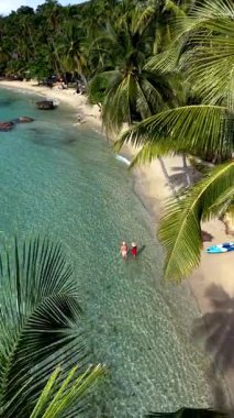 El değmemiş sular Tayland 'ın Koh Kood Adası' ndaki kumlu plajları kucaklıyor. Güneş ışığı palmiye ağaçlarının arasından süzülür. Ziyaretçiler, turkuaz sularda sakin anların tadını çıkarırlar. Sahilde yürüyen bir çift.