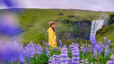İzlanda 'nın sakin manzarasında parlak sarı ceketli genç bir kadın canlı mor lupinlerin arasında duruyor. Uçan Şelale