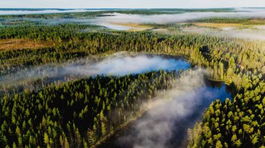 Hossa Ulusal Parkı 'ndaki muhteşem bir göl manzarası, sakin sulardan yükselen yemyeşil ormanları ve sisi gösteriyor. Finlandiya 'da doğa severler ve açık hava maceraları için mükemmel bir ortam