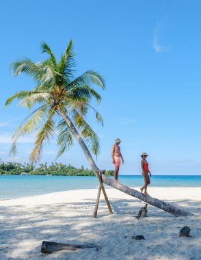 İki arkadaş, güneşli bir günde, eğilmiş bir palmiye ağacında Tayland 'daki Koh Kood Adası' nın çarpıcı sahillerinin tadını çıkarıyorlar. Berrak mavi sular ve onları çevreleyen palmiye ağaçları..