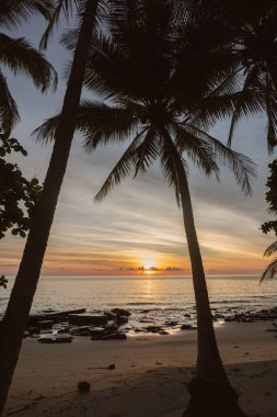 Koh Kood Adası 'nın sakin sularında gün batımının huzurlu güzelliğine tanık olun. Siluetli palmiye ağaçları renkli gökyüzünü çerçeveler. Rahatlamak ve doğayı yakalamak için mükemmel bir yer..