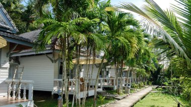 Koh Kood Adası 'nın cazibesini keşfedin. Sıcak bungalovlar, canlı palmiye ağaçlarının arasında bulunur. Tropikal atmosferi emerken ve ada yaşamını en iyi şekilde yaşarken huzurun tadını çıkarın..