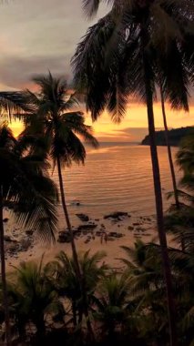 Tayland 'daki Koh Kood Adası' nın sakin sularında büyüleyici bir günbatımı manzarasının tadını çıkar. Palmiye ağaçları kumsalı güneş batarken çerçeveliyor. Gün batımında sahilde yürüyen bir çift.