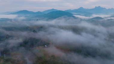Sabah ışığı, Khao Sok 'un sisli tepelerinde yemyeşil ve sakin manzaralar sergiliyor. Bu doğal cennet, keşfi davet ediyor ve Tayland 'ın çarpıcı vahşi doğasını yansıtıyor..