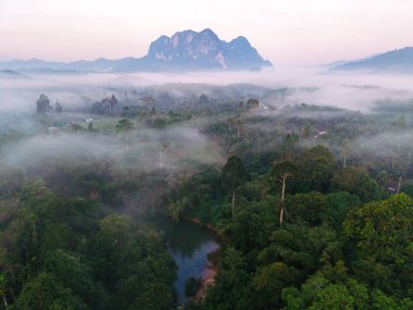 Sabahın erken saatlerinde Khao Sok, Tayland 'ın büyüleyici manzarasını keşfedin. Sis örtüleri yemyeşil yemyeşil, yüksek dağlar ve zengin ormanlarla çevrili dingin bir göl ortaya çıkarıyor..