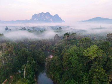 Şafak vakti Khao Sok Ulusal Parkı 'nın nefes kesen manzarası. Sis, Tayland' ın yoğun ormanını zarifçe kaplıyor.